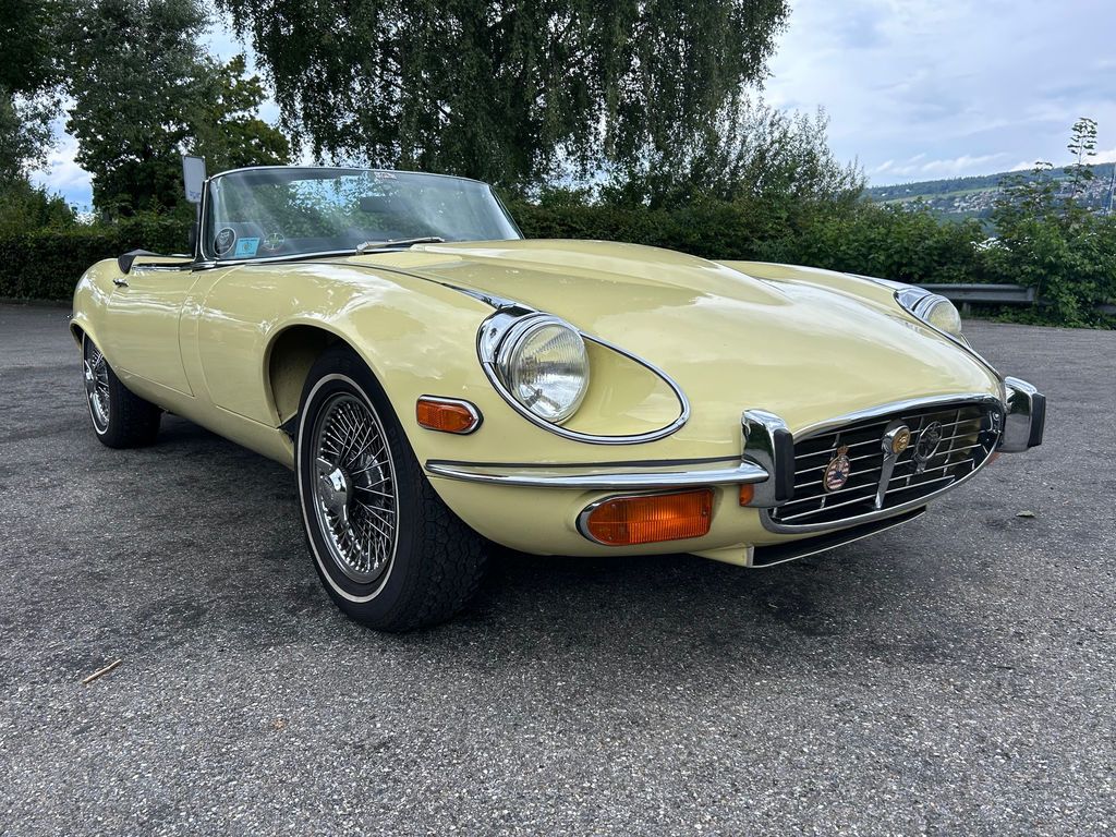 JAGUAR Other