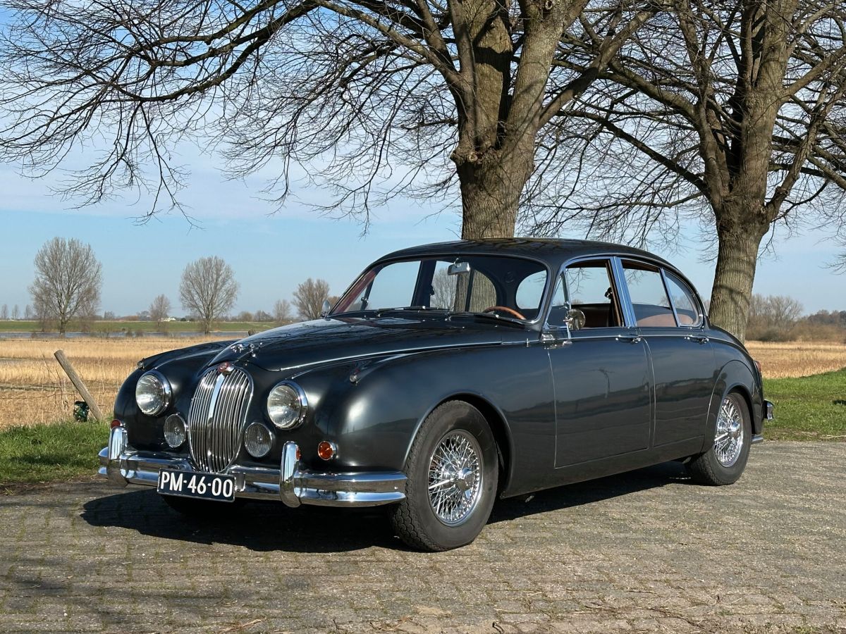 JAGUAR MKII   
