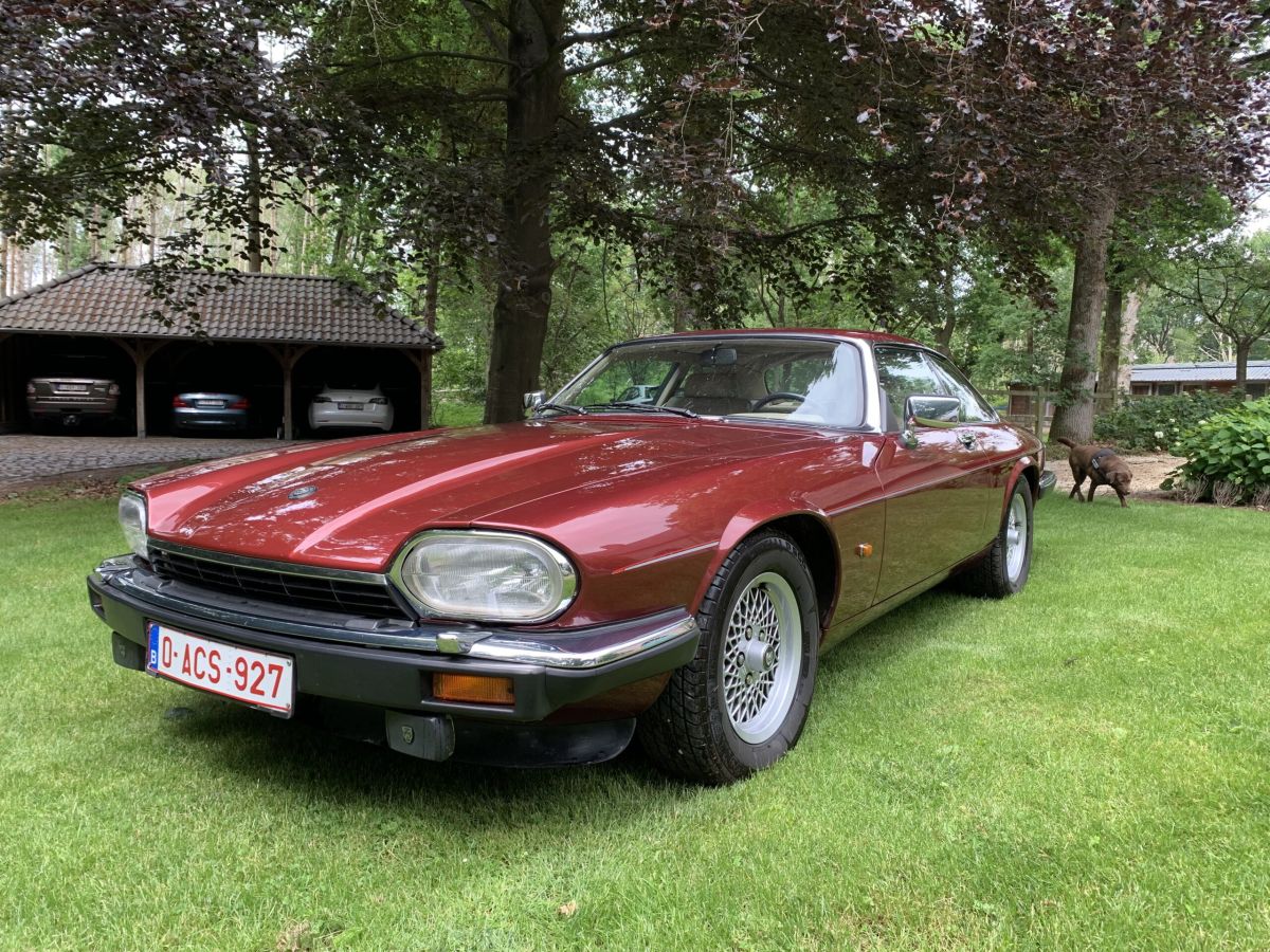 JAGUAR XJS(1975-1996)    
