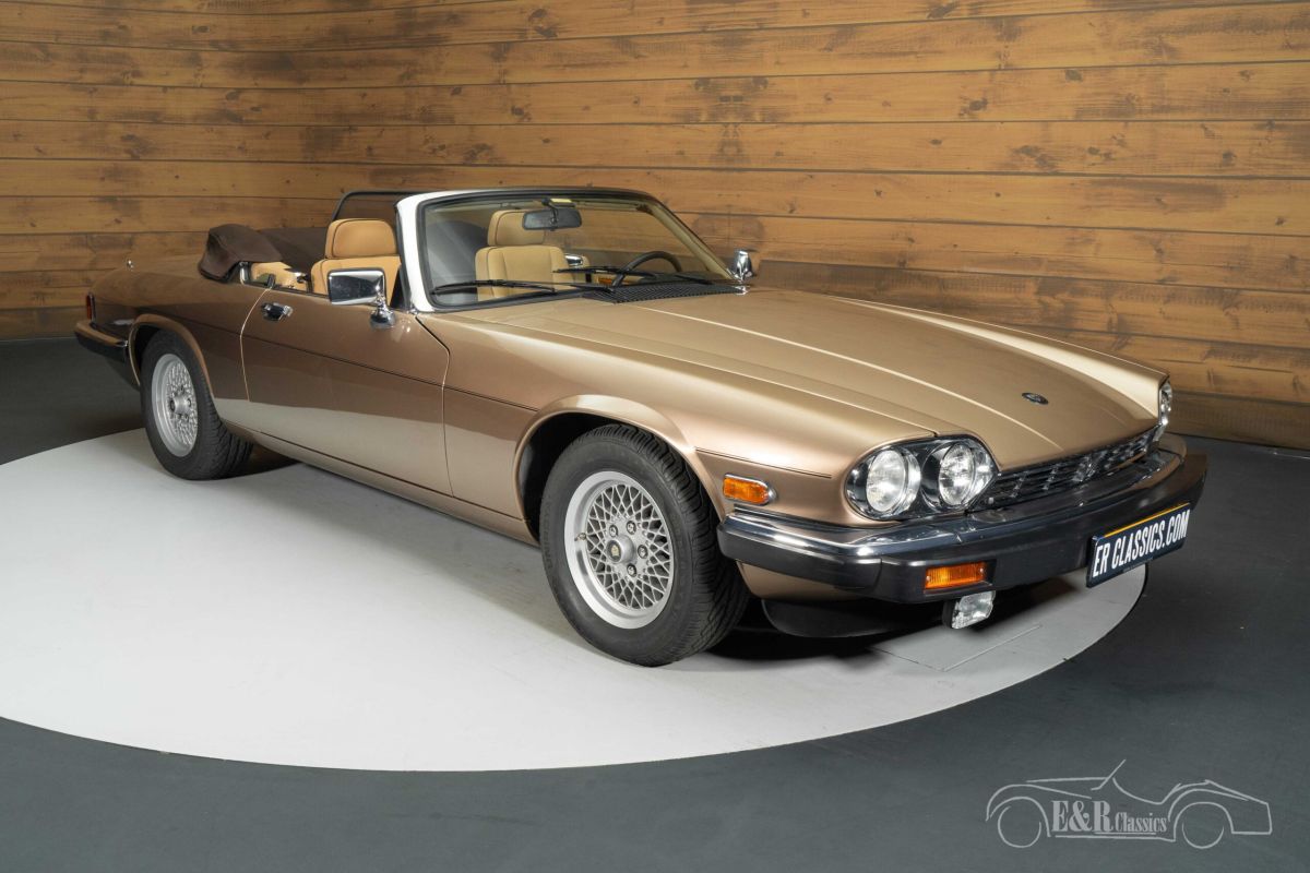 JAGUAR Other