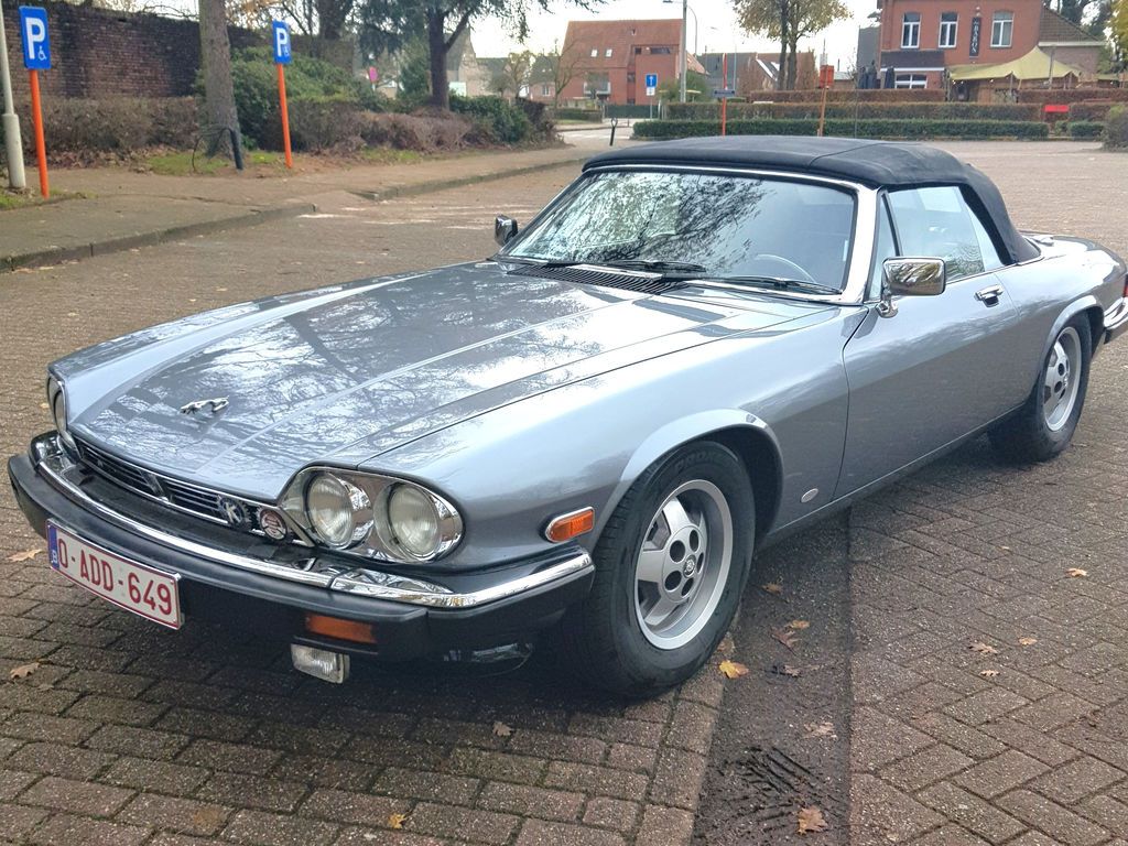 JAGUAR Other