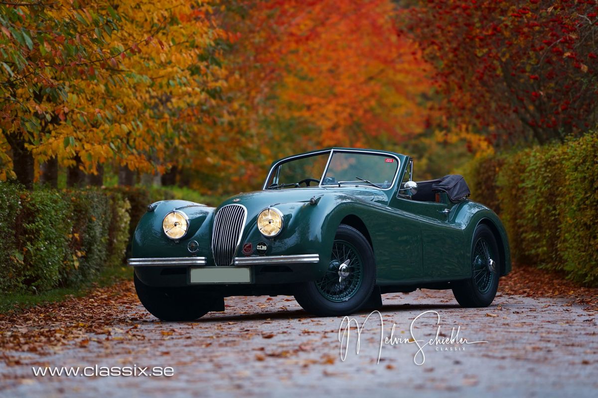 JAGUAR XK 120 Drop Head Coupe 
