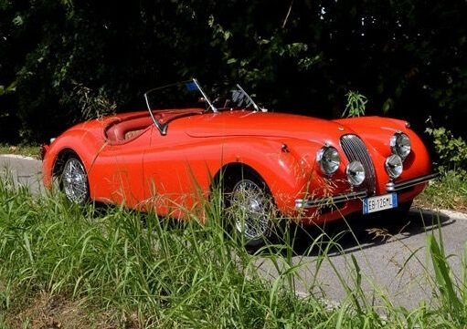 JAGUAR Other