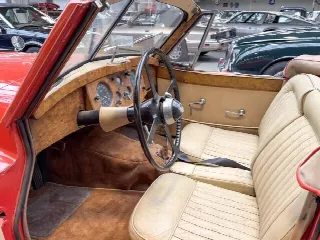 Foto 7 di 18: JAGUAR XK 120 DHC 