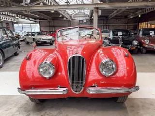 Foto 2 di 18: JAGUAR XK 120 DHC 