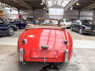 Foto 3 di 18: JAGUAR XK 120 DHC 