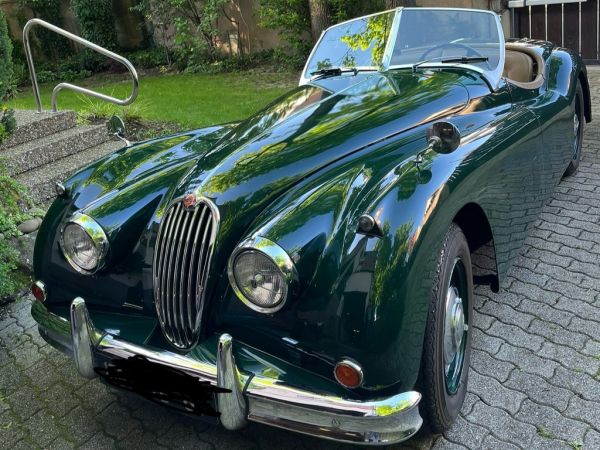 JAGUAR Other