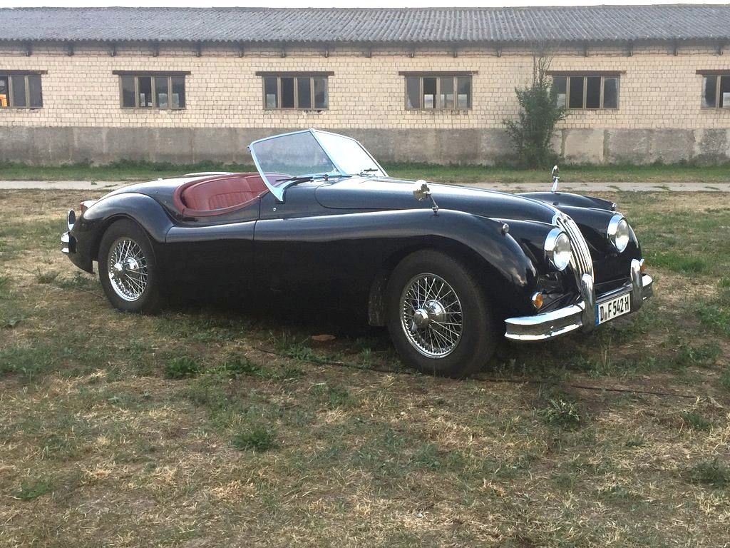 JAGUAR Other