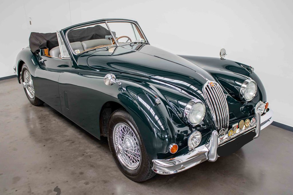 JAGUAR Other