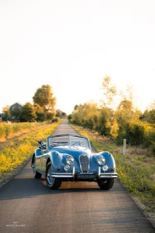 Foto 7 di 20: JAGUAR XK 140 Drophead Coupe SE, subject to a major and recent complete restoration