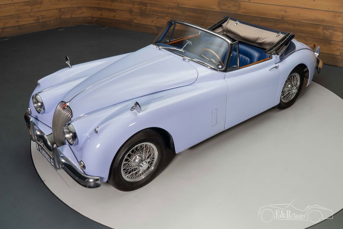 JAGUAR Other