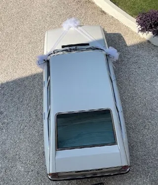 Foto 17 di 17: LANCIA Beta Berlina  