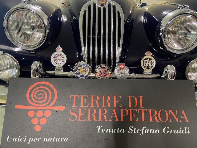 Stefano Graidi: grandi vini e auto d’epoca, l’arte italiana di collezionare emozioni. Terre di Serrapetrona