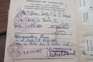 Foto 32 di 49: ALFA ROMEO 1900