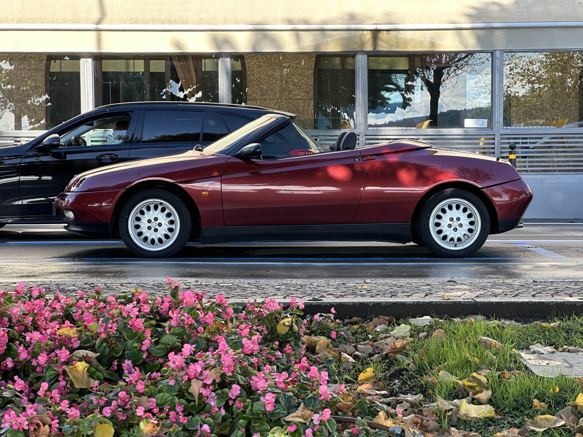 ALFA ROMEO Spider 916     