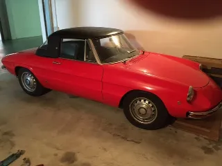 Foto 2 di 6: ALFA ROMEO Duetto America