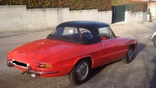 Foto 1 di 6: ALFA ROMEO Duetto America