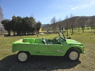 Foto 4 di 9: CITROEN Mehari 1980