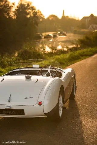 Foto 11 di 26: AUSTIN HEALEY 100/S