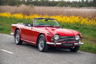 Foto 5 di 21: TRIUMPH TR4