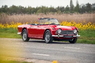Foto 3 di 21: TRIUMPH TR4
