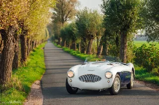Foto 2 di 26: AUSTIN HEALEY 100/S