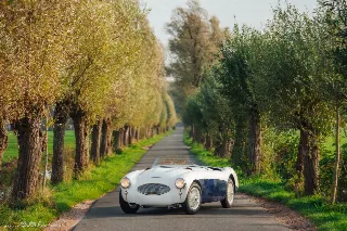 Foto 5 di 26: AUSTIN HEALEY 100/S