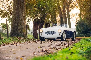 Foto 4 di 26: AUSTIN HEALEY 100/S