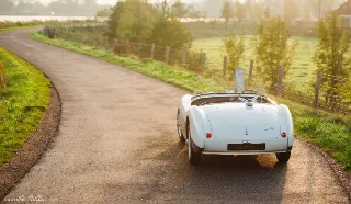 Foto 8 di 26: AUSTIN HEALEY 100/S
