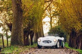 Foto 3 di 26: AUSTIN HEALEY 100/S