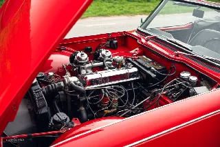 Foto 21 di 21: TRIUMPH TR4