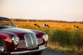 Foto 11 di 20: MASERATI A6 One of just 61 examples ever built, Mille Miglia Eligible 