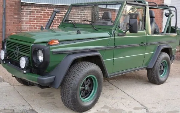 MERCEDES-BENZ 250GD