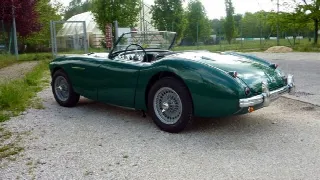 Foto 8 di 13: AUSTIN HEALEY 100 BN1  