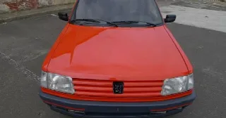 Foto 1 di 6: PEUGEOT 309 GTi 