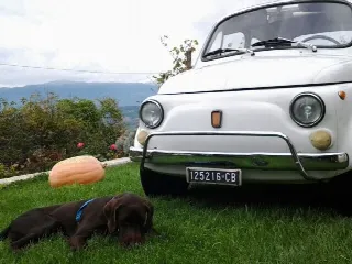 Foto 2 di 8: FIAT 500 1971
