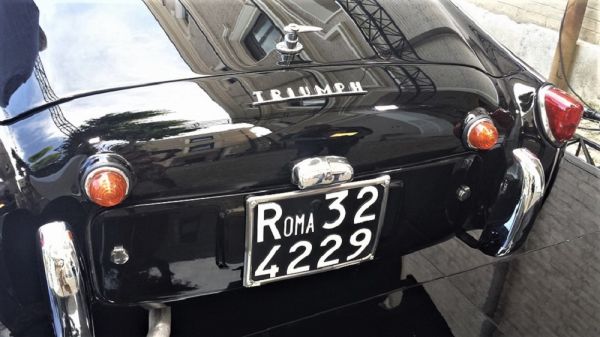 Immagine 7
