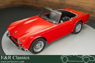 Foto 3 di 10: TRIUMPH TR4