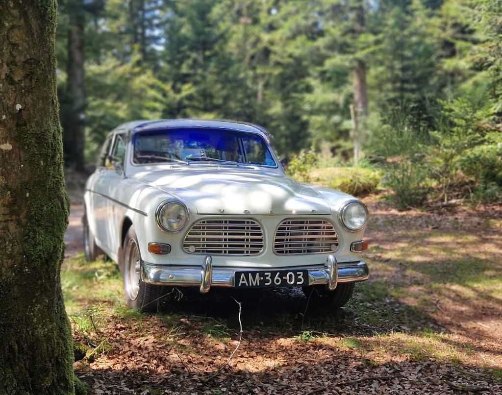 VOLVO Amazon