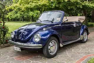 Foto 1 di 3: Volkswagen Cabrio