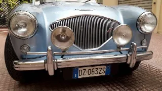 Foto 36 di 38: AUSTIN HEALEY 100  