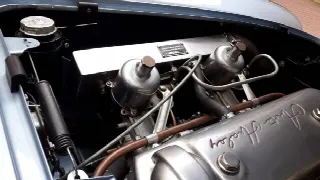 Foto 31 di 38: AUSTIN HEALEY 100  
