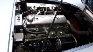 Foto 33 di 38: AUSTIN HEALEY 100  