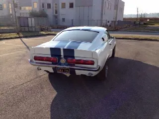 Foto 3 di 25: FORD Mustang GT390 CLONE GT500   