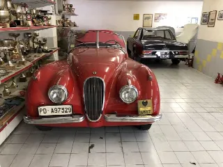 Foto 2 di 8: JAGUAR OTS 
